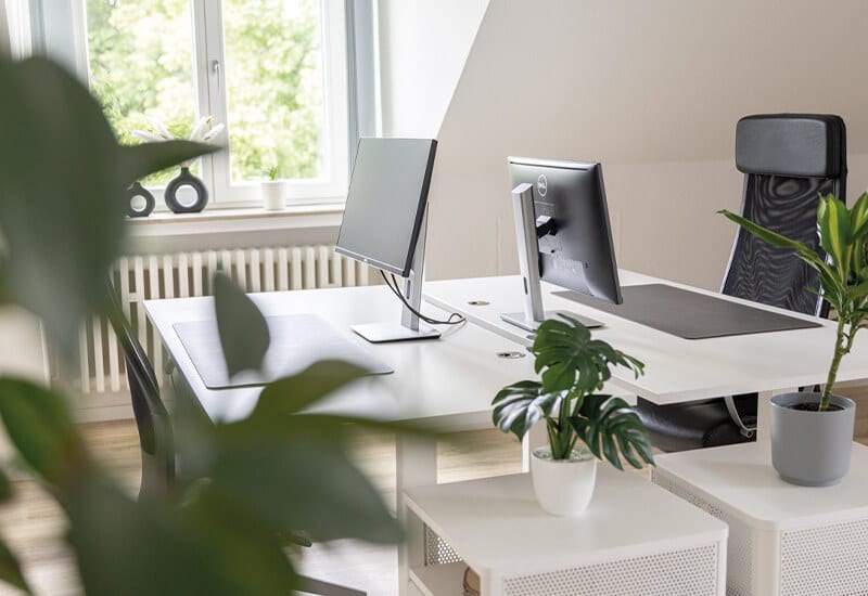Moderner Arbeitsplatz mit zwei Computermonitoren auf einem weißen Schreibtisch und einer Pflanze im Vordergrund